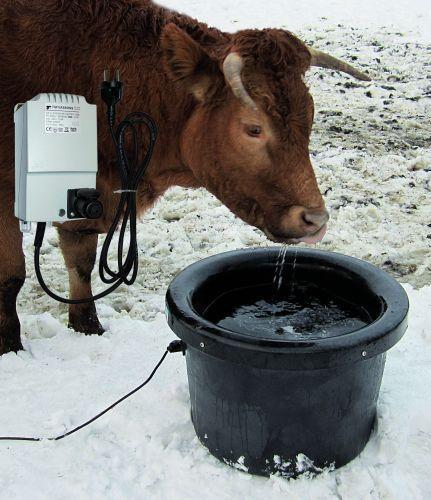 Vandtrug frostfri med transformator