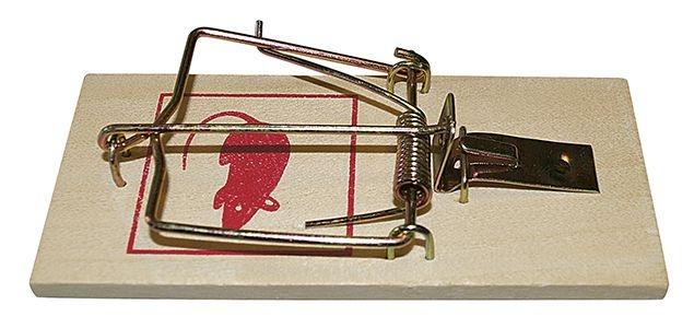 Ryom Musefælde Smæk Træ 2 stk