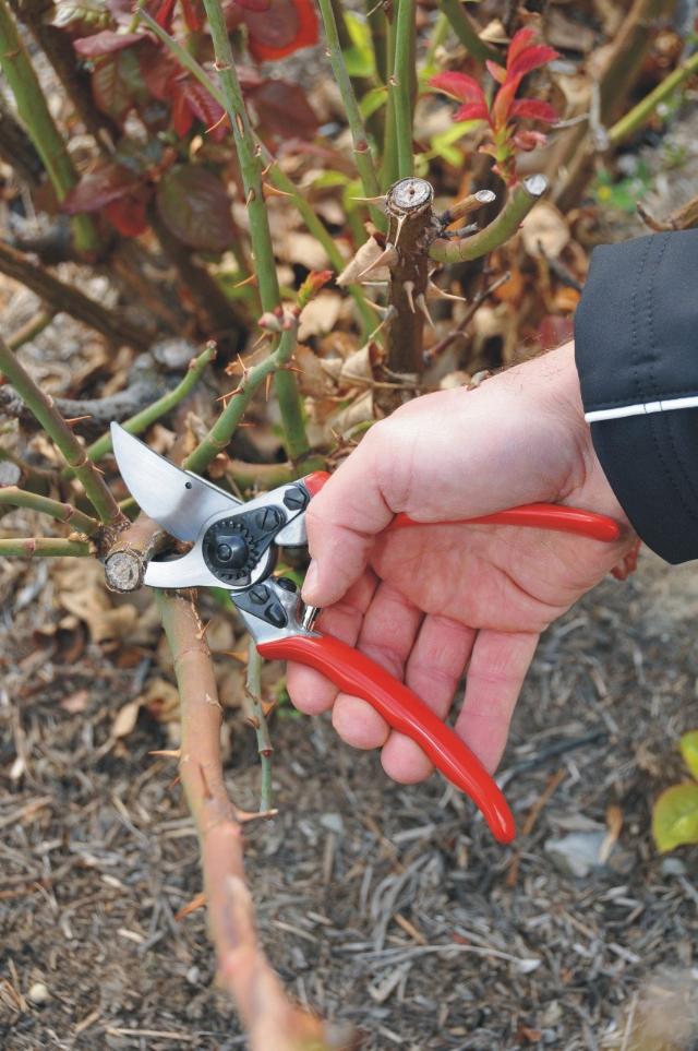 Felco 11 Enhånds Beskæresaks