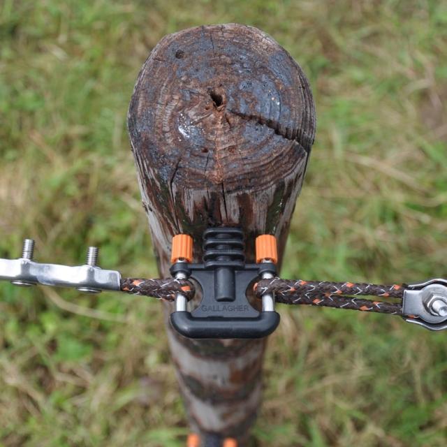 Gallagher Ledbeslag 2-Vejs Sort 5stk