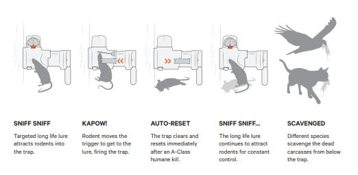 Goodnature Muse- og Rottefælde A24 Starter Trap Kit