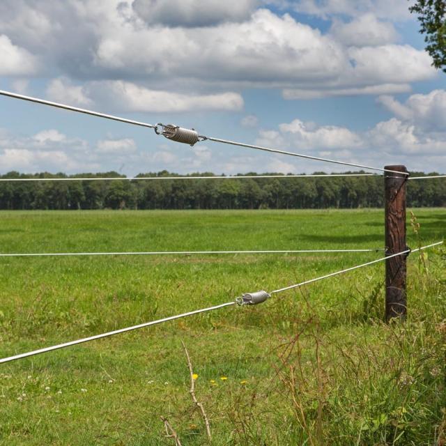 Gallagher Hegnsfjeder til Tråd 2,5/2,65mm