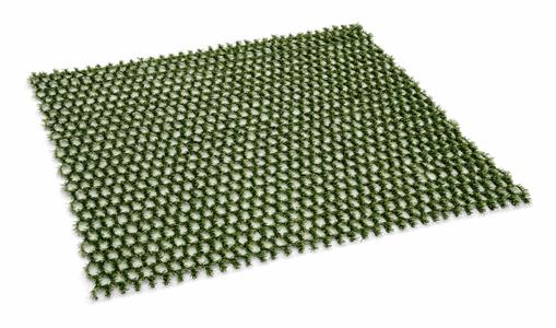 Hybridgræs 1x10 m²