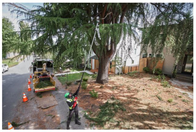 Milwaukee M18 FTPS30-0 Fuel Teleskop Stangsav u/ Batteri og Lader