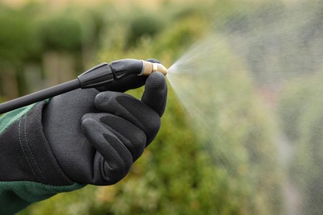 Stihl SGA 85 Rygsprøjte u/ Batteri og Lader